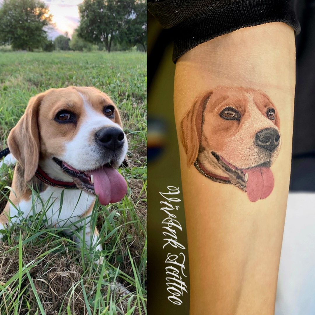Beagle kutyaportré színes realisztikus tetoválás alkaron